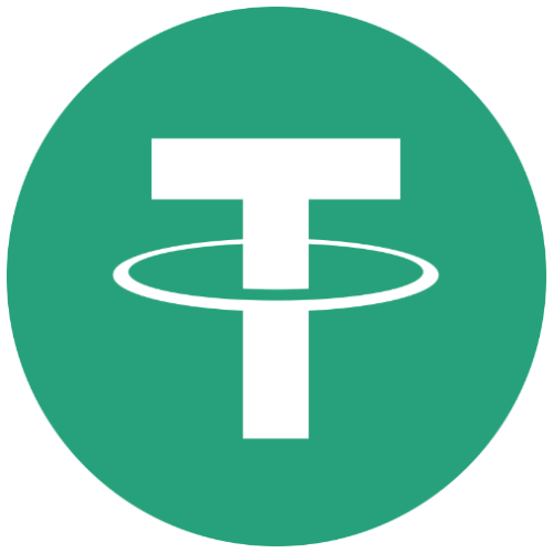 Spindipper accepts USDT for all company formations.