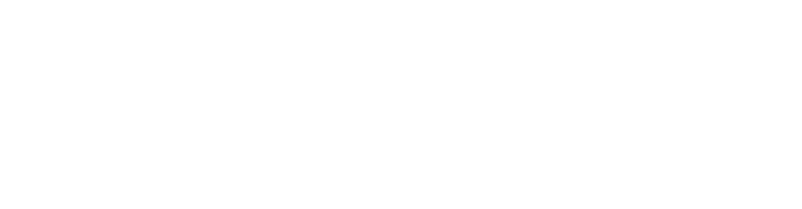 Spindipper Registered Logo